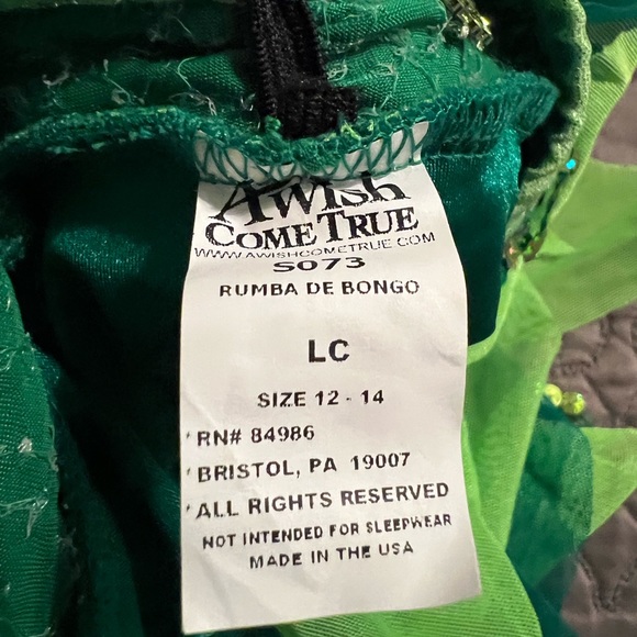 Dance costume - Picture 2 of 3